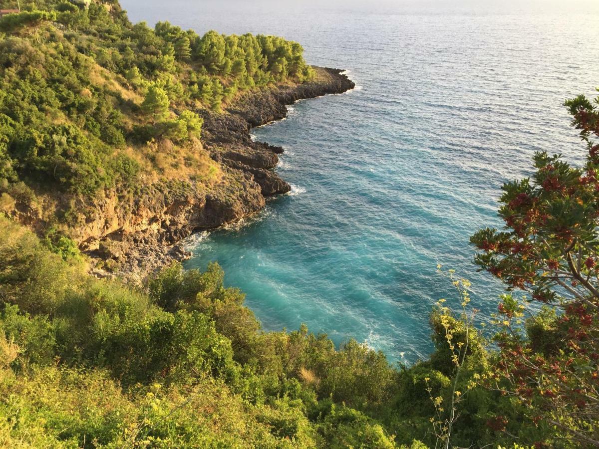 Fili D'Erba Cilento Villa Villammare Exterior foto